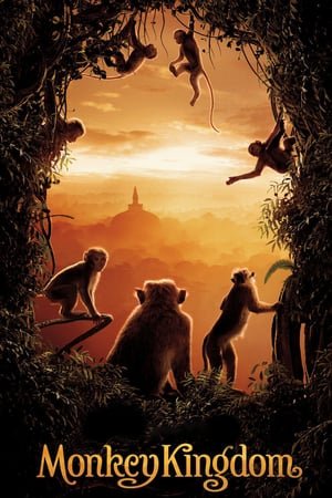 მაიმუნების სამეფო / Monkey Kingdom