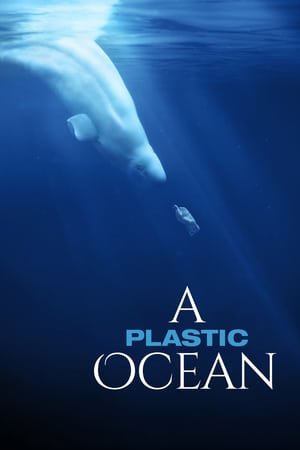 პლასტიკური ოკეანე /  plastikuri okeane /  A Plastic Ocean