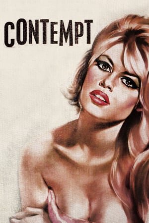 ზიზღი / Contempt