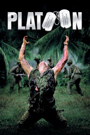 ოცეული /  oceuli /  Platoon