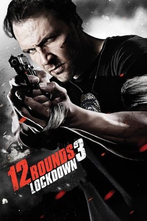 12 რაუნდი 3 /  12 raundi 3 /  12 Rounds 3: Lockdown