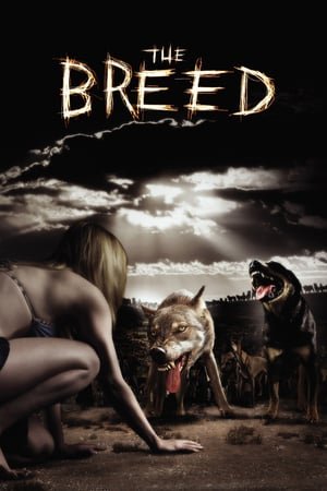 ხროვა /  xrova /  The Breed