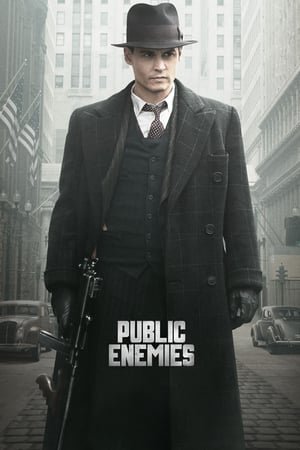 საზოგადოებისთვის საშიშნი / Public Enemies