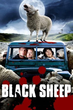 შავი ცხვარი /  shavi cxvari /  Black Sheep