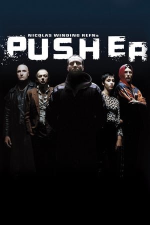 დილერი /  dileri /  Pusher