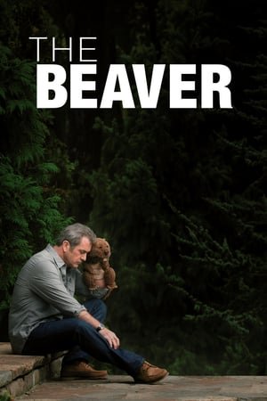 თახვი /  taxvi /  The Beaver