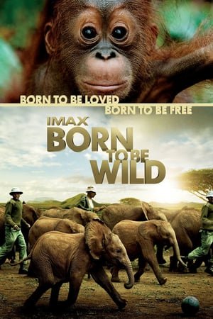 ველურებად დაბადებულნი / Born to Be Wild