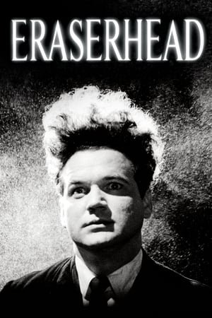 საშლელთავა /  sashleltava /  Eraserhead