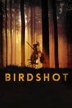 საფანტი /  safanti /  Birdshot