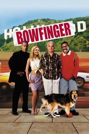 მაგარი ბიჭი /  magari bichi /  Bowfinger