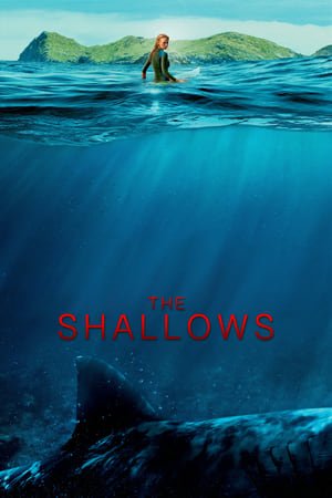 სისხლიანი ნაპირი / The Shallows