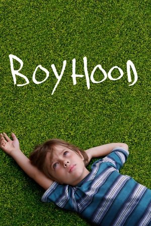 ბავშვობა /  wyali da bavshvoba /  BoyHood