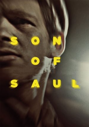 საულის ვაჟი /  saulis vaji /  Son of Saul