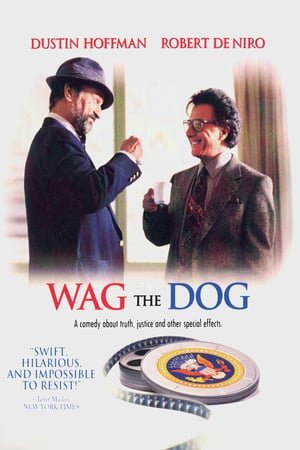 კუდის ქიცინი /  kudis qicini /  Wag the Dog