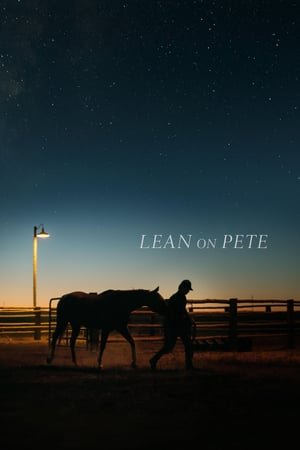 საიმედო პიტი /  saimedo piti /  Lean on Pete