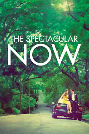 მომნუსხველი წამი /  momnusxveli wami /  The Spectacular Now