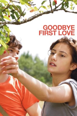 პირველი სიყვარული /  pirveli siyvaruli /  Goodbye First Love