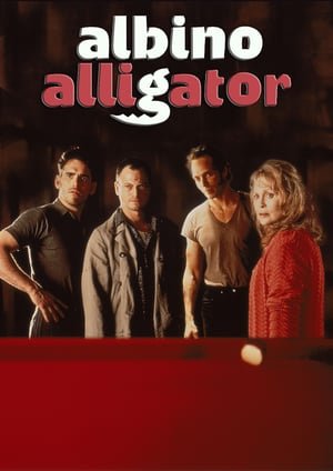 ალბინო ალიგატორი /  albino aligatori /  Albino Alligator