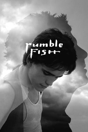 მებრძოლი თევზი /  mebrdzoli tevzi /  Rumble Fish