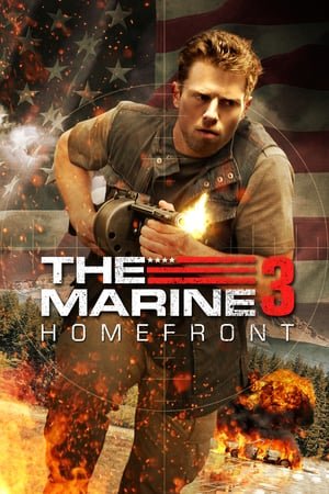 საზღვაო ფლოტი 3: შიდაფრონტი /  sazgvao floti 3: shidafronti /  The Marine 3: Homefront