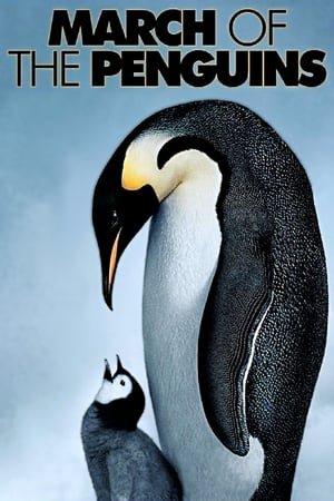 საიმპერატორო პინგვინების მარში /  saimperatoro pingvinebis marshi /  March of the Penguins