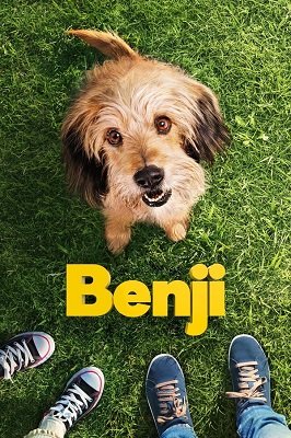 ბენჯი /  benji /  Benji