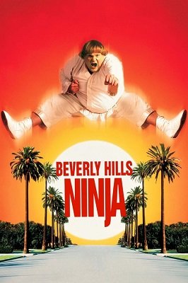 ნინძა ბევერლი ჰილზიდან /  nindza beverli hilzidan /  Beverly Hills Ninja