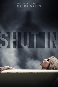 ჩაკეტილი / Shut In