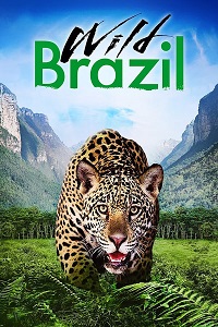 ველური ბრაზილია /  veluri brazilia /  Wild Brazil