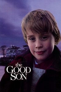 კარგი შვილი / The Good Son