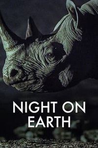 ღამე დედამიწაზე /  game dedamiwaze /  Night on Earth