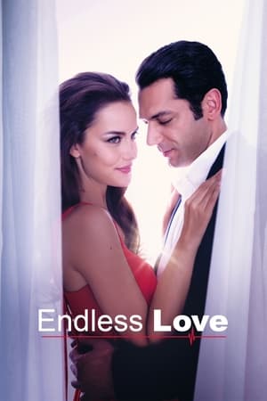 უსასრულო სიყვარული /  usasrulo siyvaruli /  Endless Love (Sonsuz Aşk)