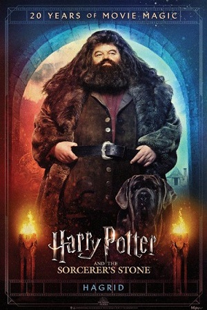 ჰარი პოტერი და ფილოსოფიური ქვა / Harry Potter and the Sorcerer's Stone