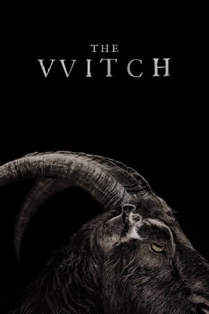 ალქაჯი / The Witch