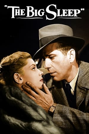 გრძელი სიზმარი /  grdzeli sizmari /  The Big Sleep