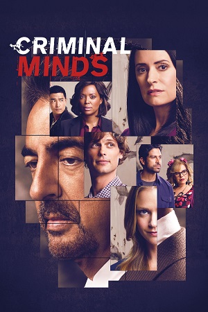 კრიმინალური აზროვნება / Criminal Minds