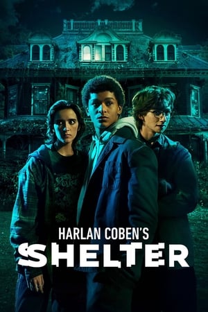 ჰარლან კობენის თავშესაფარი | Harlan Coben's Shelter