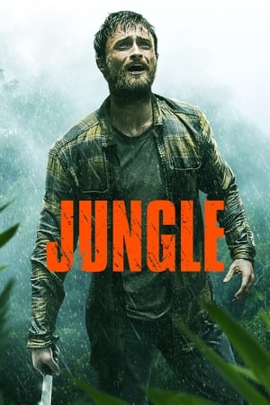 ჯუნგლები / Jungle